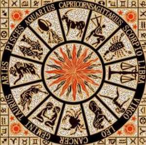 Gạch thảm 12 Con giáp